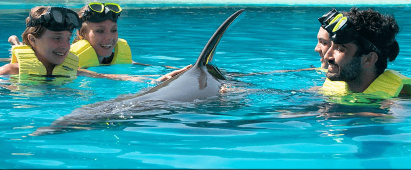 Dolphin Experience Cozumel
